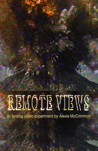 Remote Views (2025)