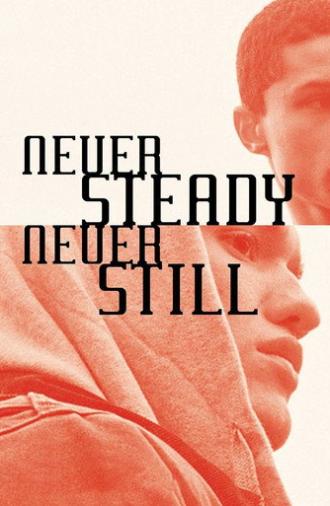 Never Steady, Never Still (2015)