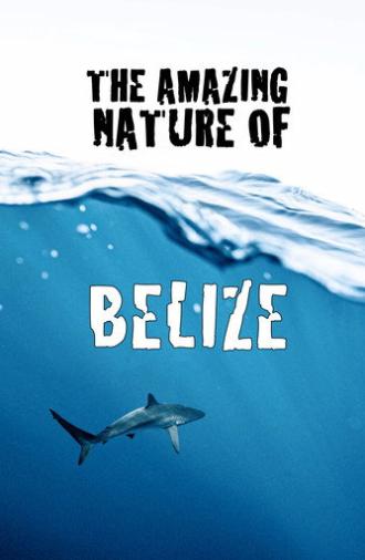 The Amazing Nature of Belize (2022)