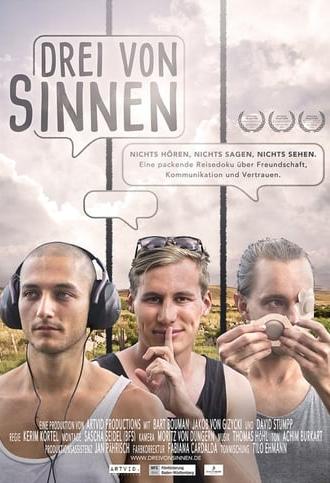 Drei von Sinnen (2017)