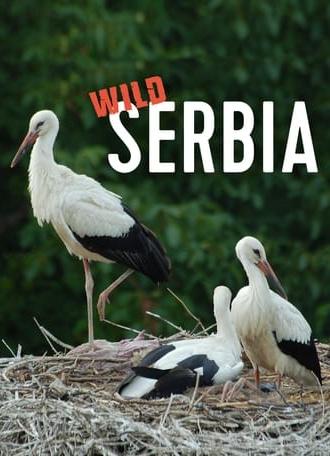 Wild Serbia (2011)