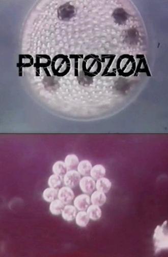 Protozoa (1993)