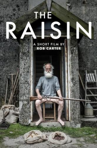 The Raisin (2017)