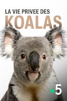 La vie privée des koalas (2019)