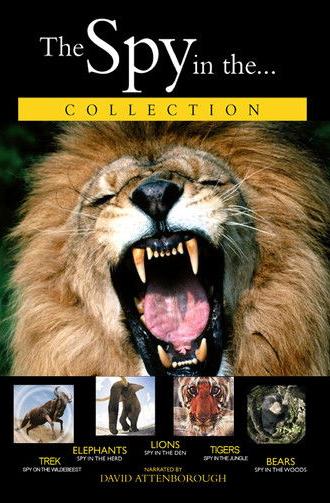 Lions: Spy in the Den (2000)