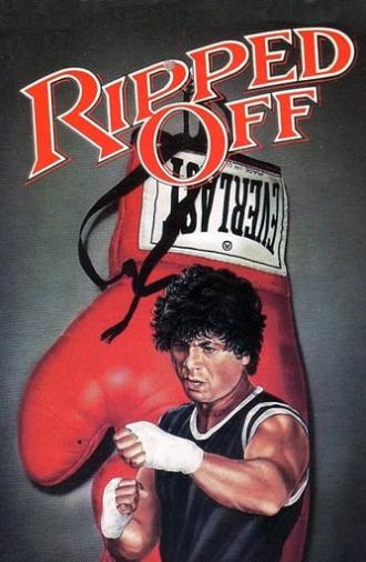 The Boxer (1972)