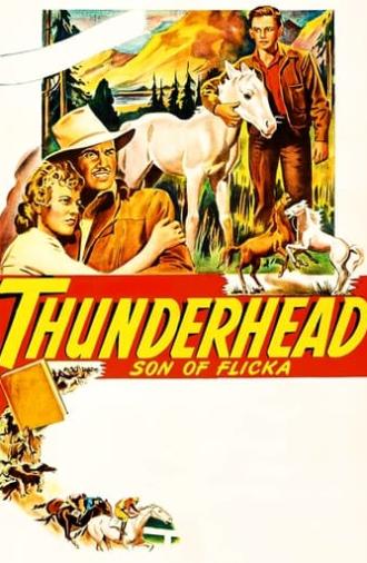 Thunderhead: Son of Flicka (1945)