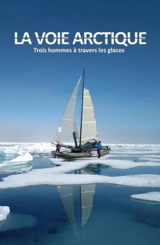 La Voie arctique - Trois hommes à travers les glaces (2020)