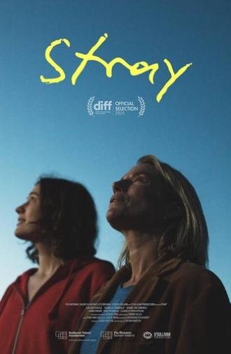 Stray (2025)