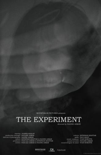The Experiment (2026)