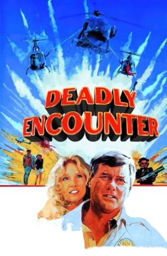 Deadly Encounter (1982)