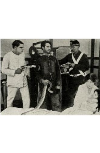 The Rattlesnake (1913)