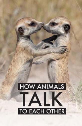 How Animals Talk To Each Other (2024)