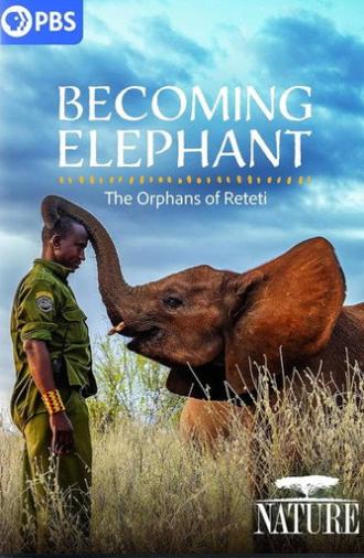 Becoming Elephant: The Orphans of Reteti (2026)