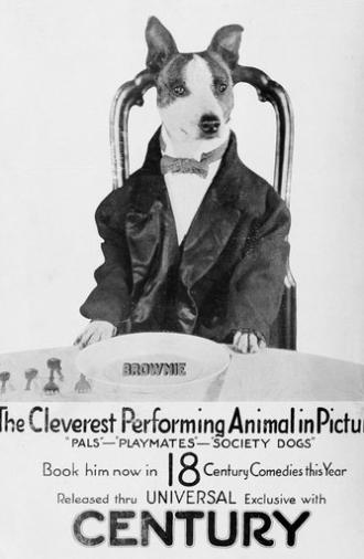 Society Dogs (1921)