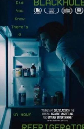 Did You Know There's a Black Hole in Your Refrigerator (2025)