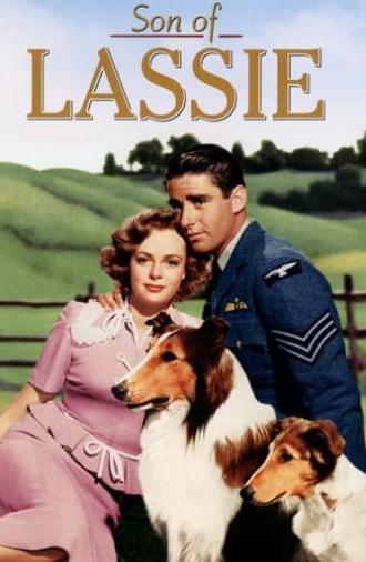 Son of Lassie (1945)