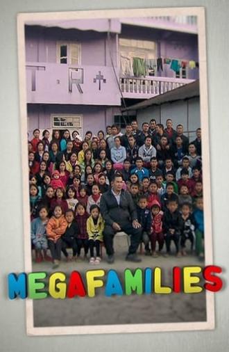 Megafamilies (2011)