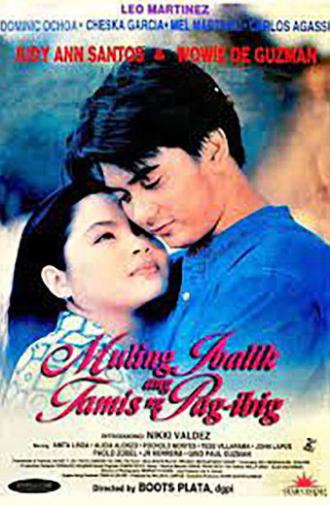 Muling Ibalik ang Tamis ng Pag-ibig (1998)