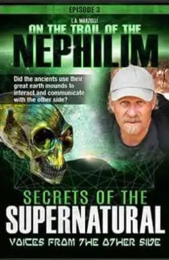 On the Trail of the Nephilim: Episode 3 - Secrets of the Supernatural (2019)