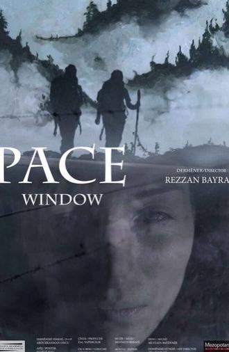 Window (2018)