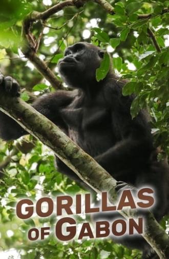 Gorillas of Gabon (2019)