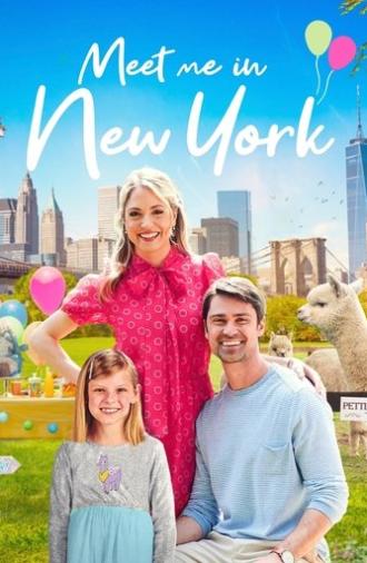 Meet Me in New York (2022)