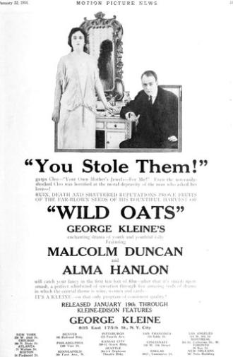 Wild Oats (1916)