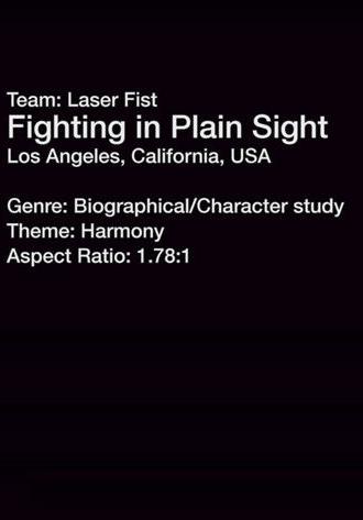 Fighting in Plain Sight (2013)