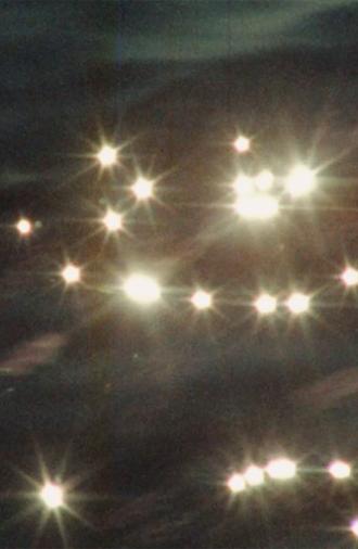 Whale Watch (1) (1981)