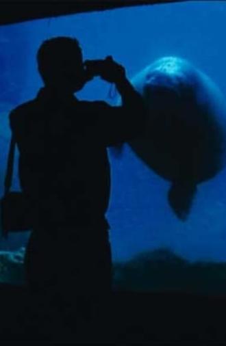 The Aquarium (2006)