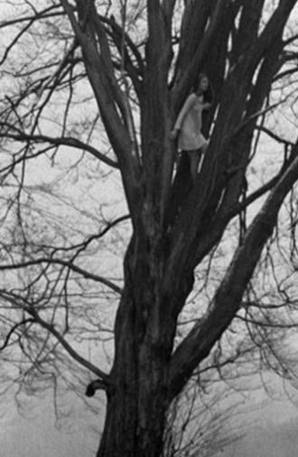 Fundevogel (1967)