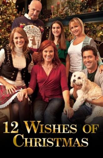 12 Wishes of Christmas (2011)