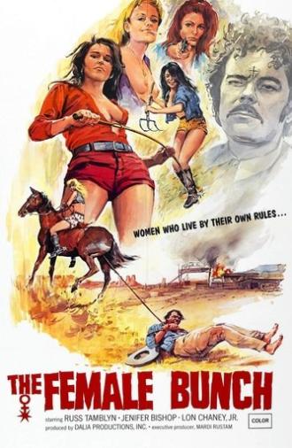 The Female Bunch (1971)