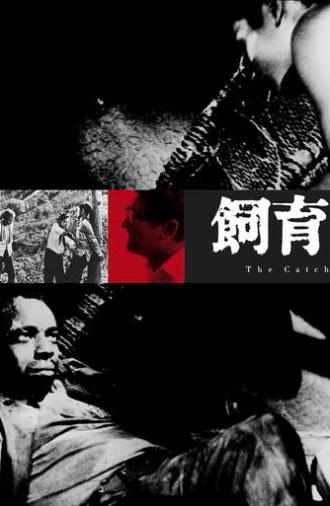 The Catch (1961)