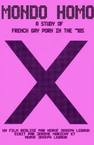 Mondo Homo: Inquiry Into 70's Gay French Porn (2009)