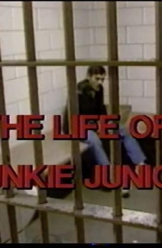 The Story of Junkie Junior (1987)