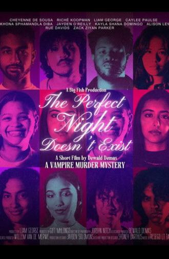 The Perfect Night Doesn't Exist (2024)