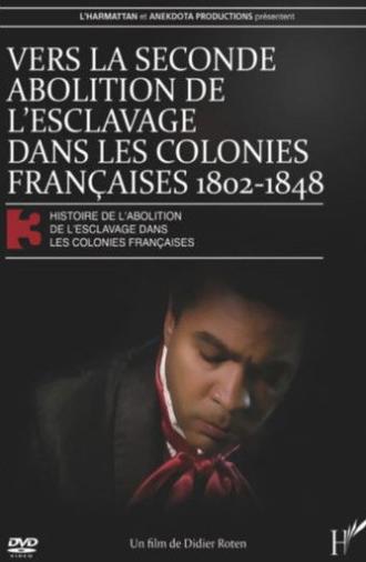 Vers la seconde abolition de l'esclavage dans les colonies françaises de 1802 à 1848 (2011)