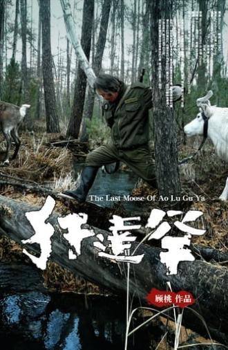 The Last Moose Of Ao Lu Gu Ya (2013)