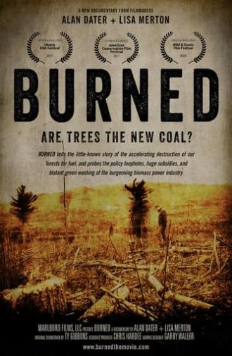 Burned: Are Trees the New Coal? (2021)