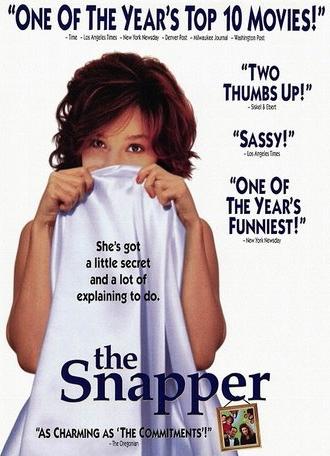 The Snapper (1993)