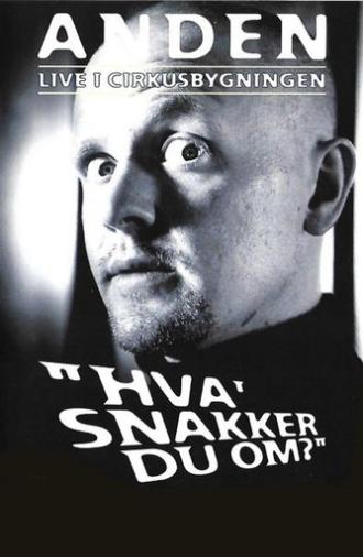 Anders Matthesen: Hva' snakker du om? (2001)