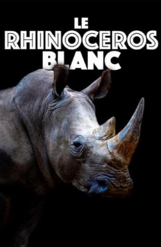 Le rhinocéros blanc (2022)