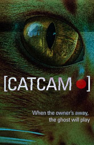 Cat Cam (2026)