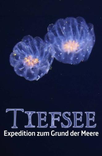 Faszination Tiefsee - Expedition zum Grund der Meere (2026)