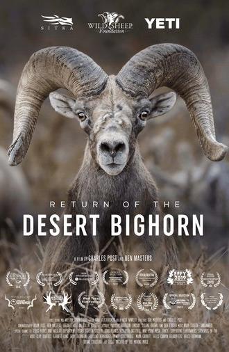 Return of the Desert Bighorn (2018)