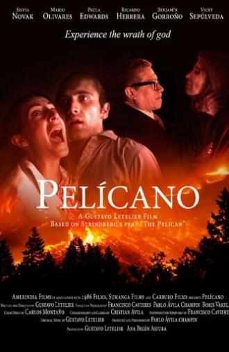 Pelícano (2019)