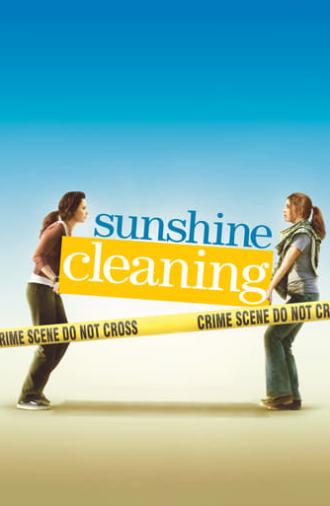 Sunshine Cleaning (2008)