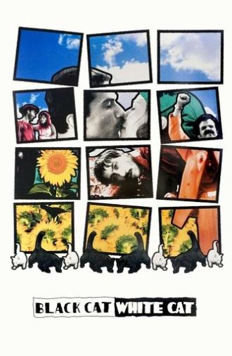 Black Cat, White Cat (1998)